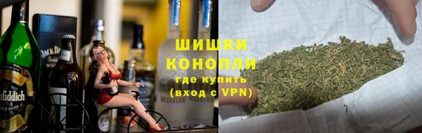 мдпв Зеленодольск