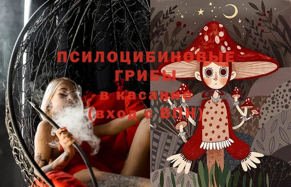 гидропоника Заводоуковск