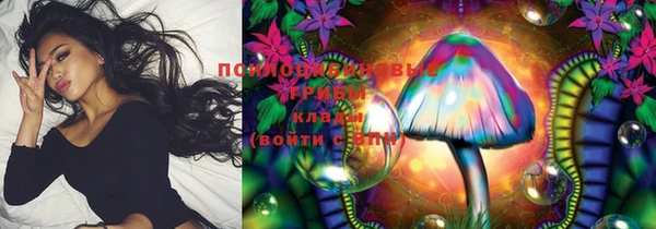 трава Заволжск