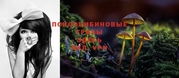 гидропоника Заводоуковск