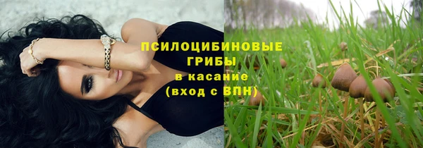 гидропоника Заводоуковск