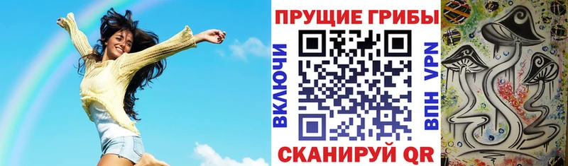 где продают   Лакинск  Псилоцибиновые грибы прущие грибы 